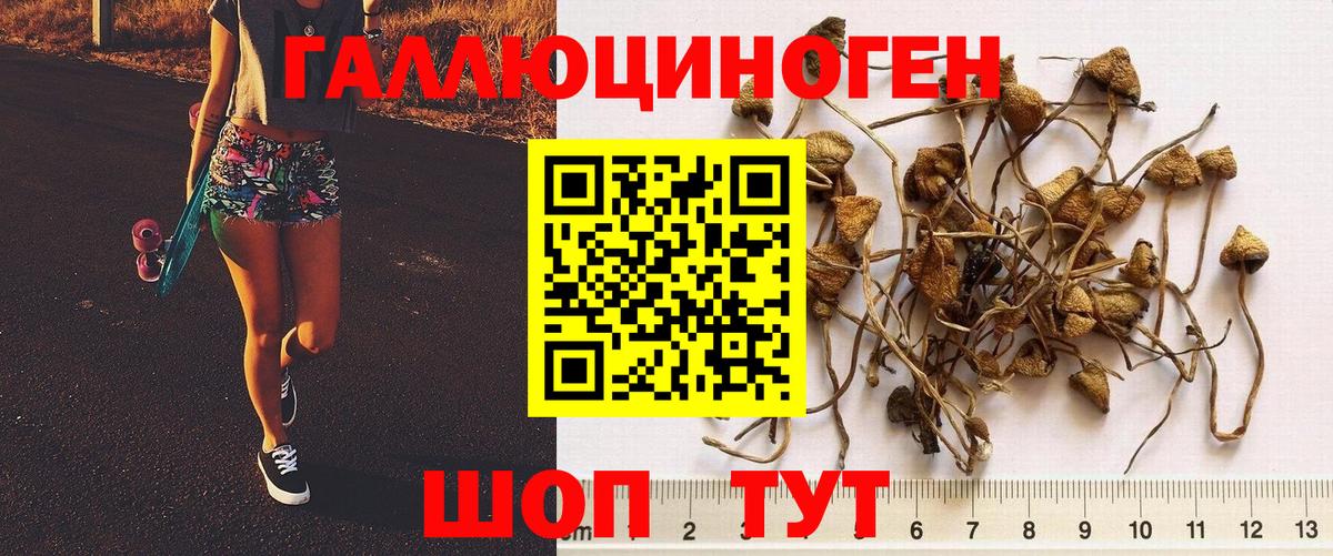 Галлюциногенные грибы Magic Shrooms Мыски