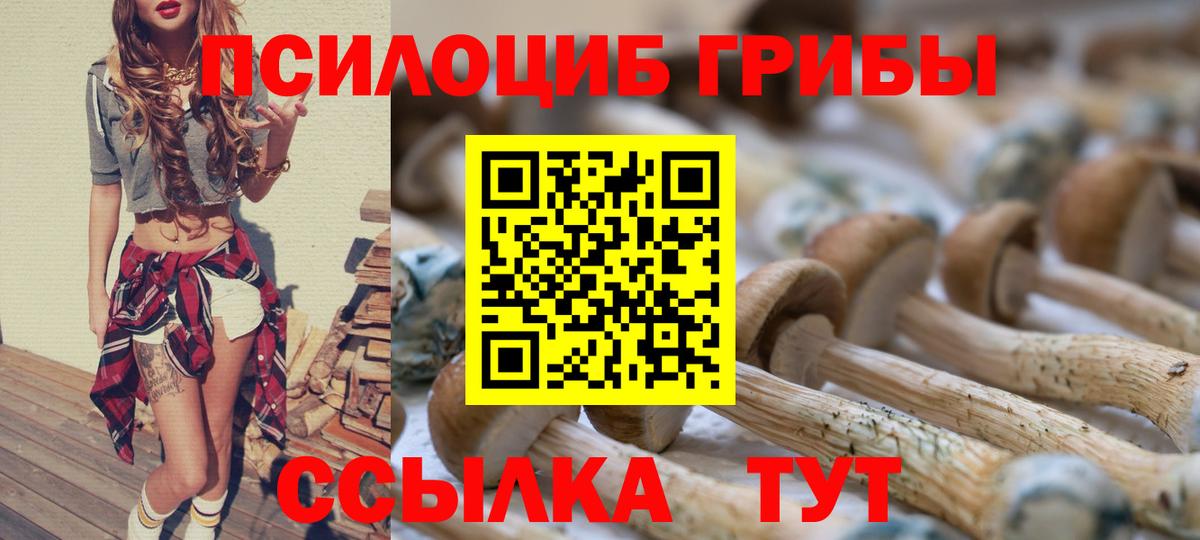 Галлюциногенные грибы прущие грибы  Вход с VPN  Мыски  Псилоцибиновые грибы прущие грибы 